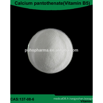 Poudre de pantothénate de calcium (vitamine B5) / N ° CAS 133-08-6 / USP / BP / EP / FCCV